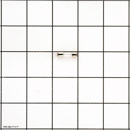 FUSE 10A 250V FAST-ACTING GLASS