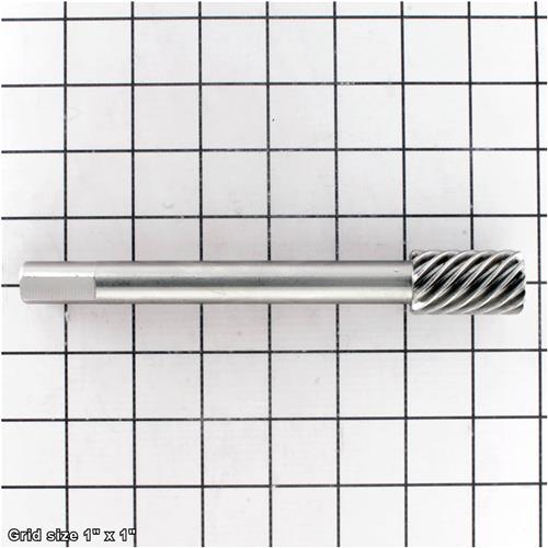 WORM GEAR 10 TEETH