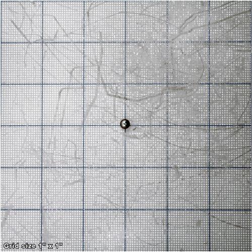 BALL 6MM