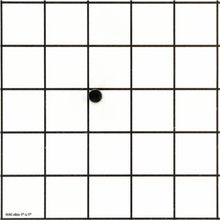 Load image into Gallery viewer, PIN