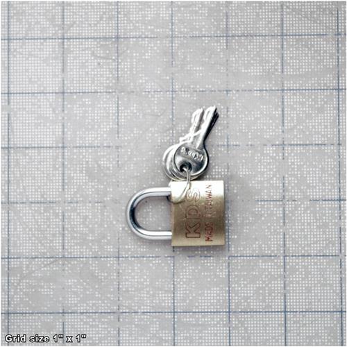 SWITCH PADLOCK