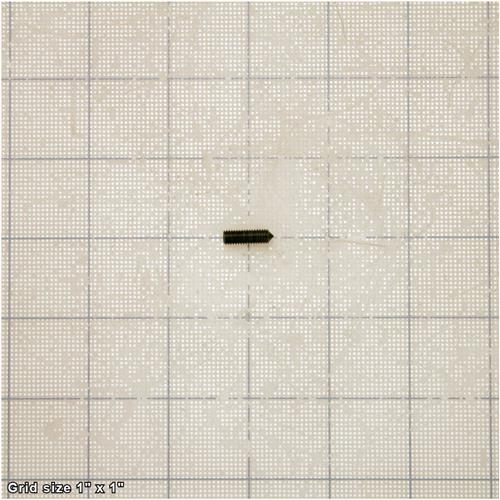 JACK SCREW M5-.8 X 16