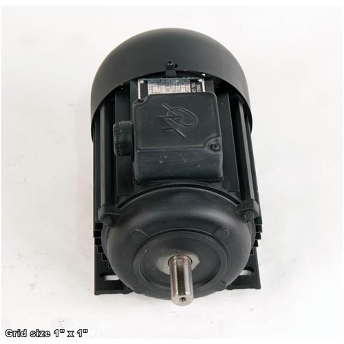 REVERSIBLE MOTOR 110V