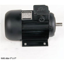 Load image into Gallery viewer, REVERSIBLE MOTOR 110V