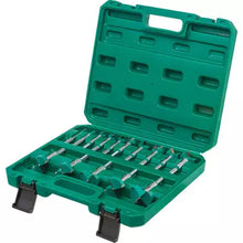 Load image into Gallery viewer, Grizzly PRO T33698 - 15 Pc. Tungsten Carbide Hex Shank Forstner Bit Set, 5/16&quot; - 2-1/16&quot;