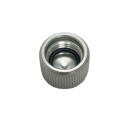 Graco 17S166 Cap Plug