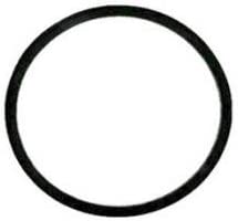 Binks 83-1420 Older 5 Gallon Pot Lid Gasket