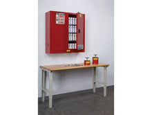 Load image into Gallery viewer, Sure-Grip® EX 20-gal. capacity Wall Mount Aerosol Can &amp; Flammable storage Cabinet w/ 2 Doors-Manual Close &amp; 3 Shelves - Red