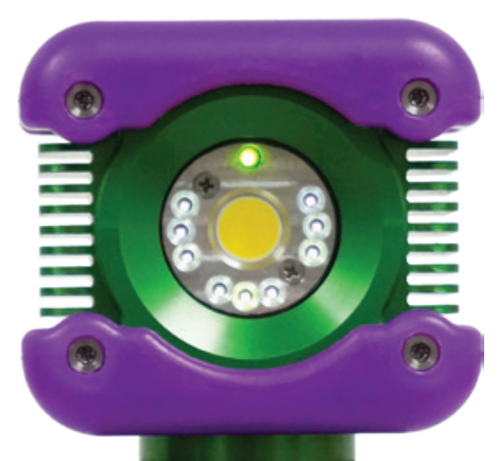 Western Technology BODYLight™ UVA Light (head only)