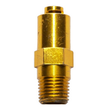 Load image into Gallery viewer, Simpson 7101359 - EW 1/4 in. NPT Thermal Relief Valve