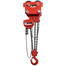 Load image into Gallery viewer, Tiger Lifting CCBTPT-1000 10-tons Twin Bar 10-ft. Std. Lift Combination Chain Block &amp; Trolley (Plain/Push combination units)